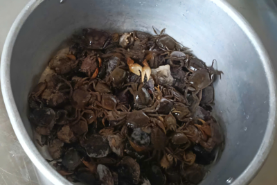 Thực đơn thứ năm ngày 25/12/2025